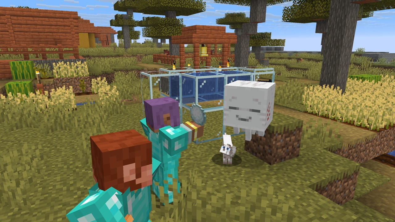 In a Savanna village, a baby Happy Ghast is being lured with a Snowball by Efe. A stay cat is also quite curious of what Efe is holding in their hands.