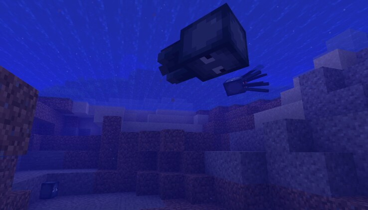 An underwater view of a few baby Squid which are swimming in a River.