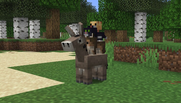 A stack of baby mobs. A warm Chicken on top of a black Cat on top of a woods Wolf on top of a Donkey.