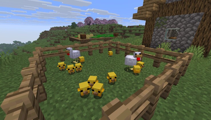A pen of many baby Chickens and two adult Chickens is shown inside of a Plains Village. There's a Cherry Grove in the background.