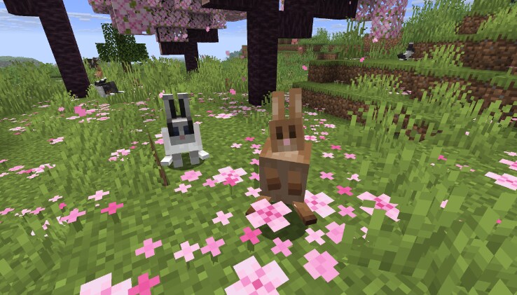 Two Rabbits of different types are sitting up in a Cherry Grove.