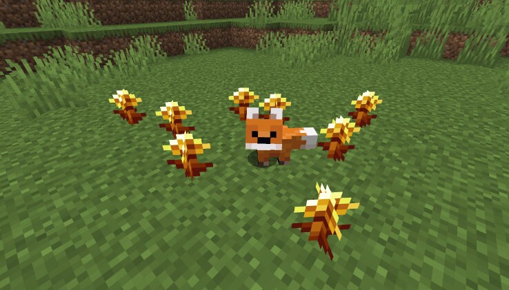 A baby Fox stands amongst a field of Golden Dandelions.