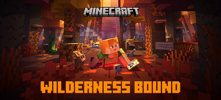 Play Wilderness Bound